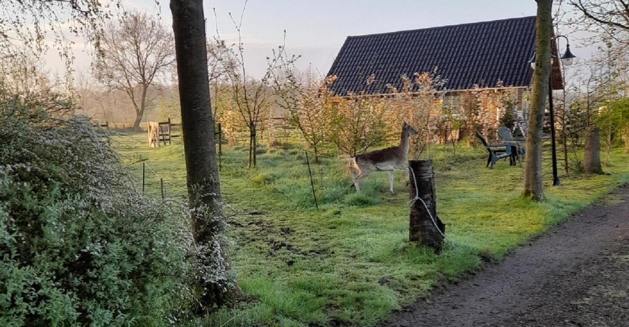 B&B Landgoed Sonneborghe Kollumerzwaag Exterior foto